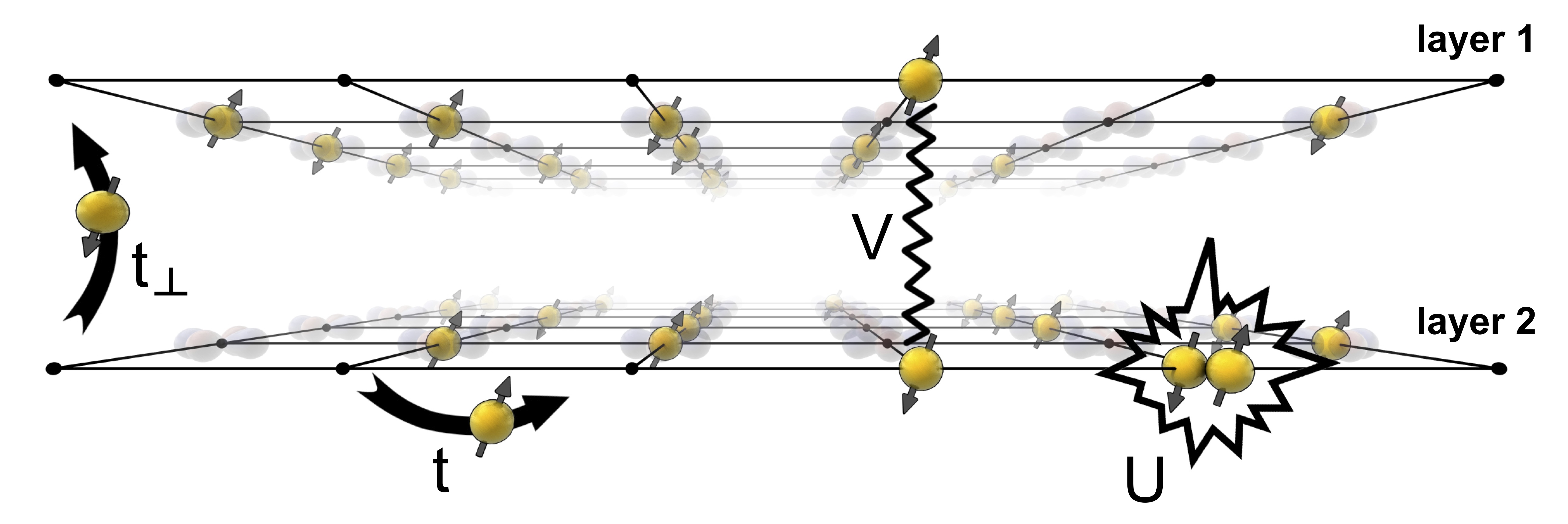 The Bilayer Hubbard model.